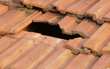 roof repair Deuchar, Angus